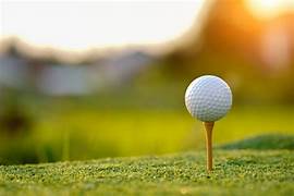 Golf course for Golf and Business Gathering